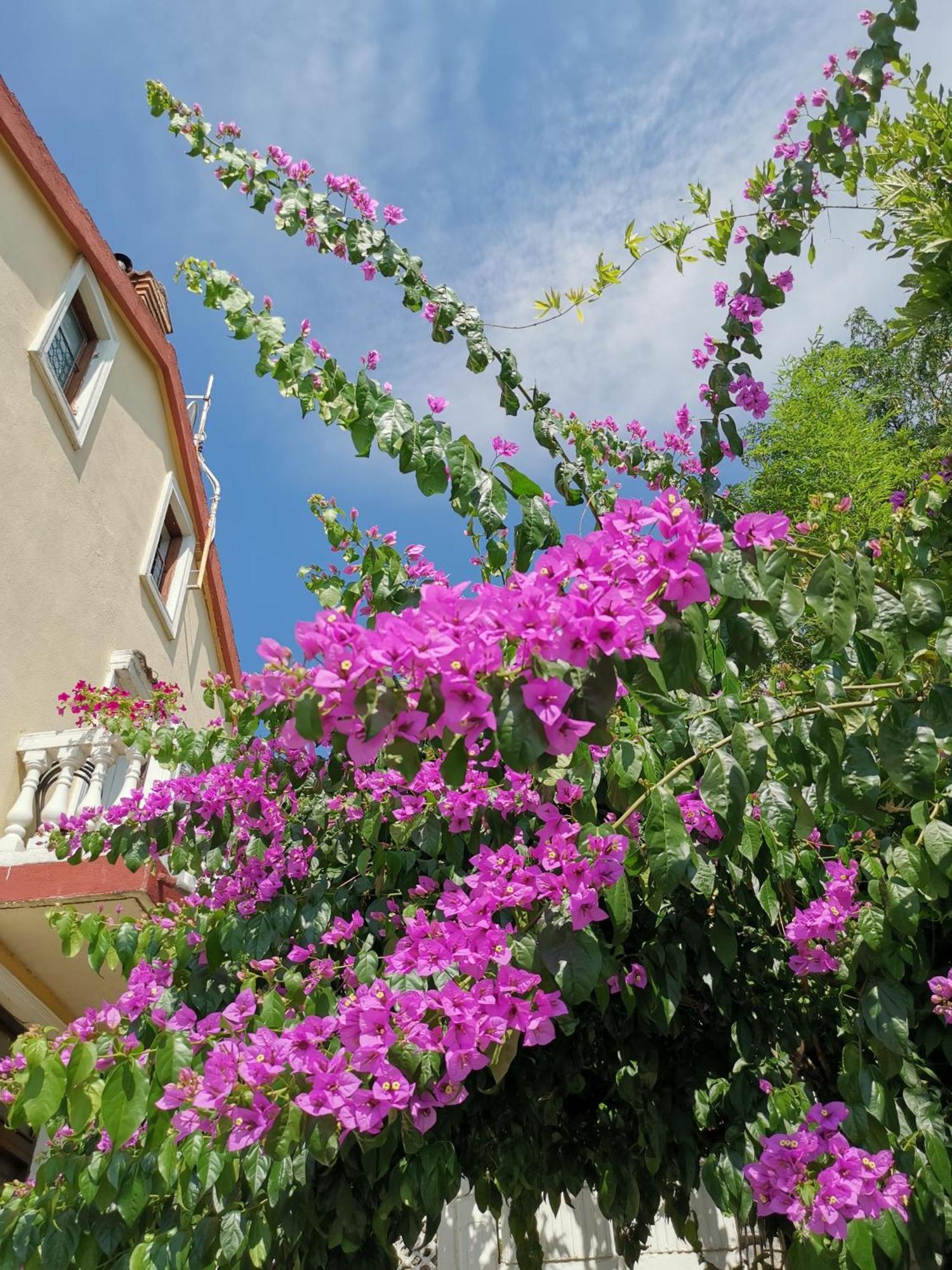 Ferienwohnung Ginko House Opatija Exterior foto